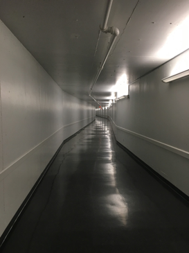 Can you find this secret tunnel on campus?